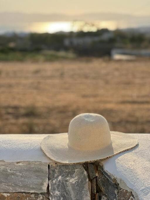 White Nadora Naxos Villa Agia Anna  Exteriér fotografie
